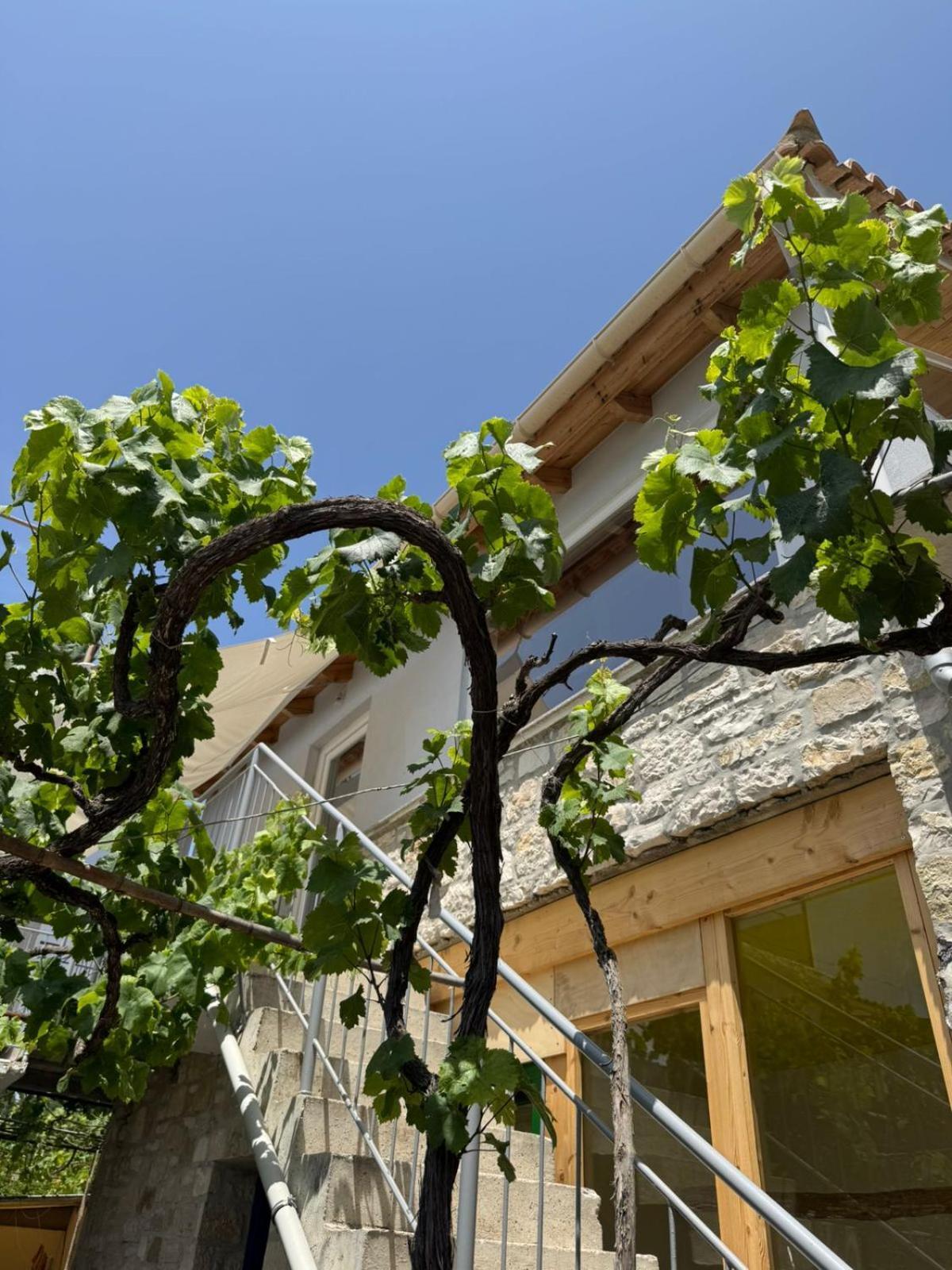 Himara Hostel Vandrerhjem